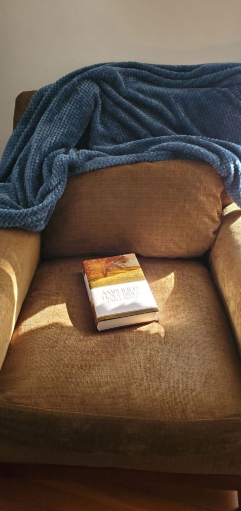 cushioned chair with the Amplified  (AMP) Holy Bible on it